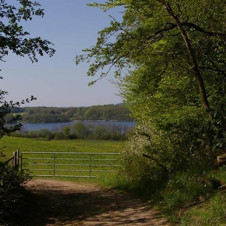 Fewo Am See 15A Klein Wittensee Екстер'єр фото